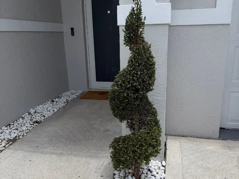 landscaping