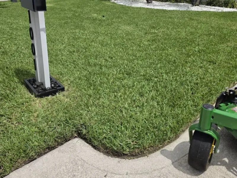 landscaping